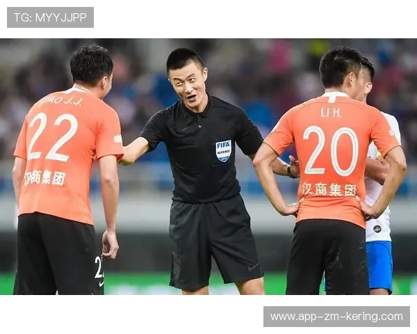 球迷“疯狂打call”背后的文化现象探讨，球迷文化什么意思