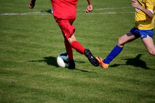 开云app官网-LPL多个队伍重组计划曝光转会期极度混乱，lpl战队转会期